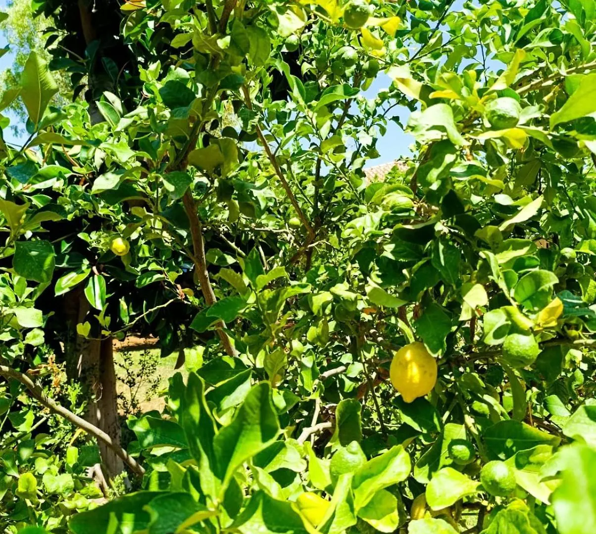 Vila Casa In Giardino A Pochi Passi Dal Mare Palermo Itálie