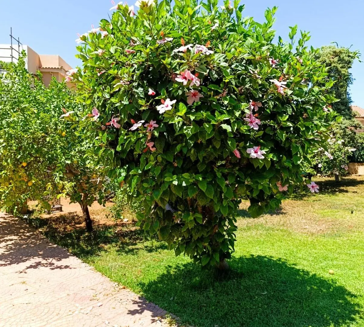 Casa In Giardino A Pochi Passi Dal Mare Villa Palermo Holiday home